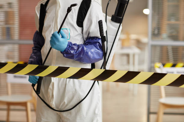 Professional Sewage Cleanup technician working in Grafton, OH
